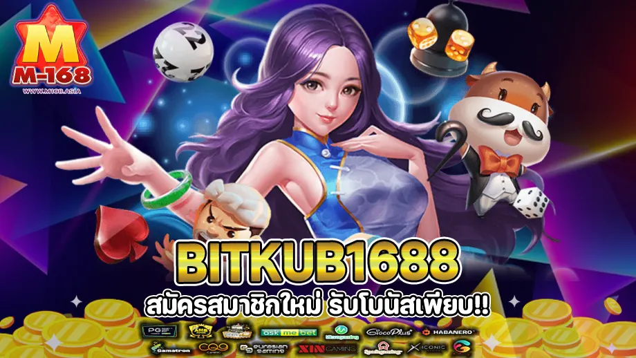 bitkub1688